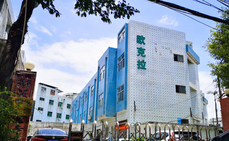 2021年東莞市歐克拉電子科技有限公司全面升級管理項目圓滿成功！