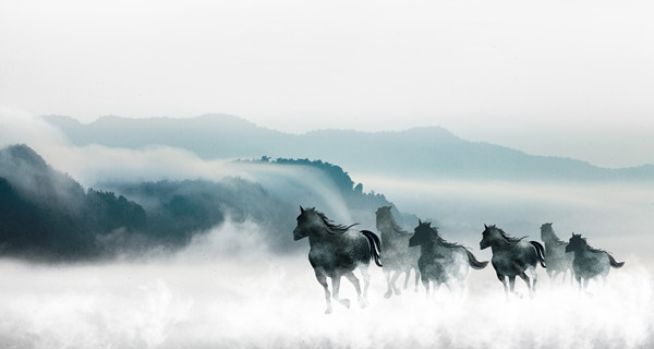 企業(yè)戰(zhàn)略規(guī)劃：為企業(yè)制定全面、長遠(yuǎn)的發(fā)展戰(zhàn)略