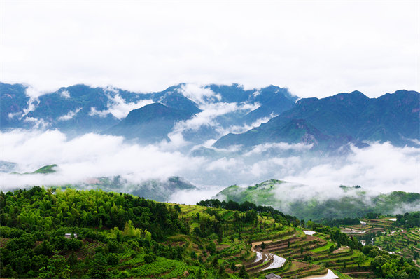 管理咨詢?nèi)绾沃刂萜髽I(yè)戰(zhàn)略規(guī)劃落地？