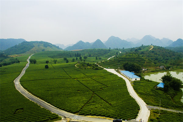 清遠(yuǎn)管理咨詢機(jī)構(gòu)的定制化服務(wù)方面包含哪些內(nèi)容？