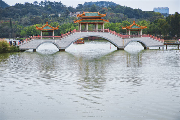 肇慶戰(zhàn)略咨詢公司如何為企業(yè)定制長遠發(fā)展規(guī)劃？