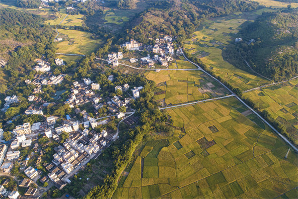 肇慶預(yù)算管理咨詢(xún)公司如何為企業(yè)構(gòu)建精細(xì)化的預(yù)算體系？