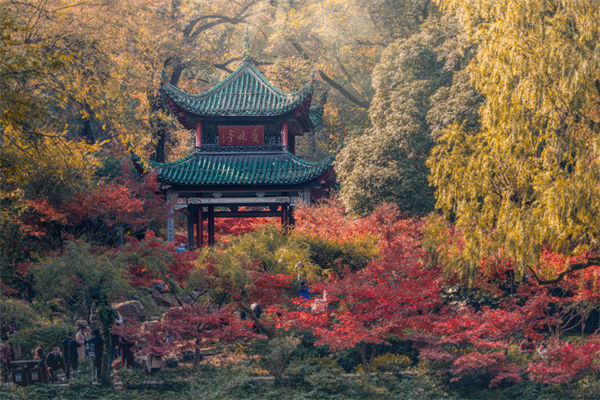 長沙薪酬咨詢公司如何設(shè)計合理的薪酬結(jié)構(gòu)與體系？