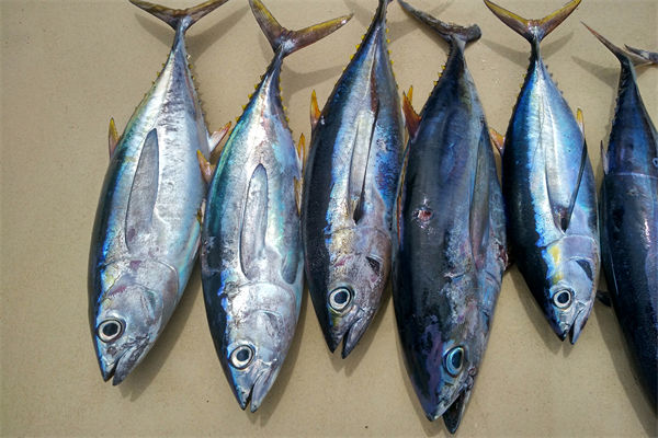 商務(wù)部：將幫助外貿(mào)企業(yè)擴寬內(nèi)銷渠道，政策解讀！
