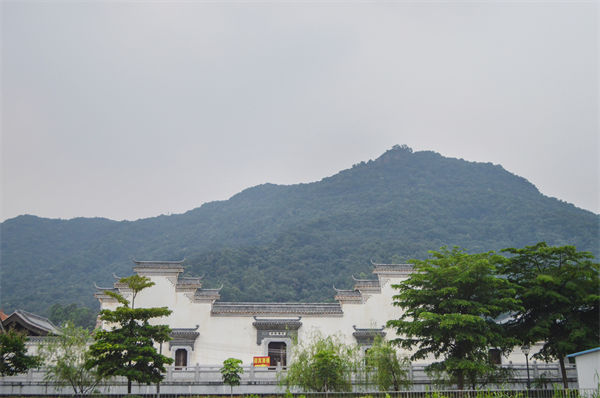 子公司各自為戰(zhàn)內(nèi)耗大，佛山集團(tuán)管控咨詢公司有何整合之道？
