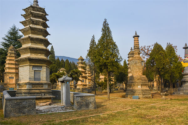 鄭州管理咨詢選不對(duì)，企業(yè)戰(zhàn)略落地的堵點(diǎn)何時(shí)能打通？