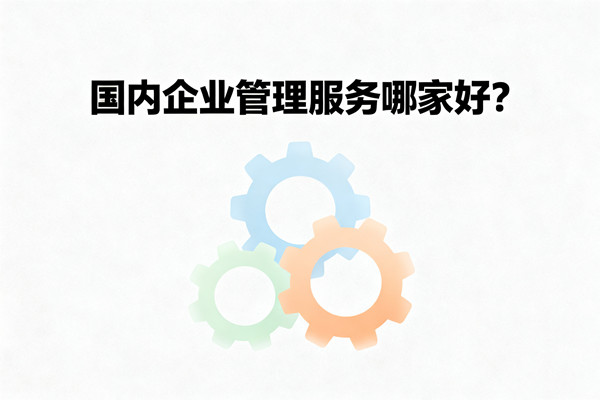 國內(nèi)企業(yè)管理服務(wù)哪家好？