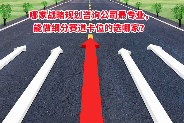 哪家戰(zhàn)略規(guī)劃咨詢公司最專業(yè)，能做細(xì)分賽道卡位的選哪家？