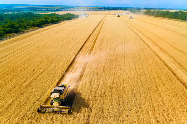 農(nóng)業(yè)行業(yè)供應(yīng)鏈管理咨詢公司推薦，能解農(nóng)資采購成本高問題嗎？